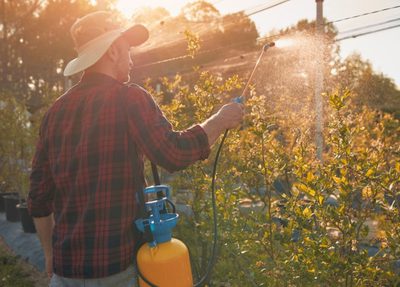 a man applying pesticide with sprayer to plants