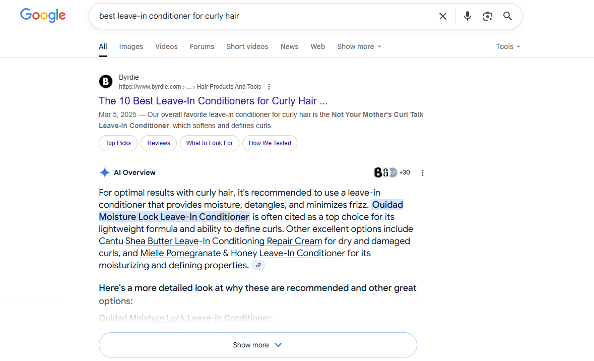 Google AI Overview